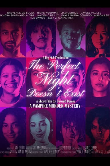 The Perfect Night Doesn't Exist poster