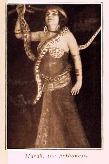 Marah, the Pythoness poster