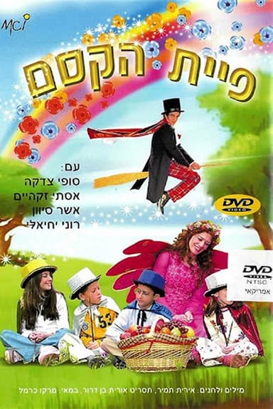 The Magic Fairy poster