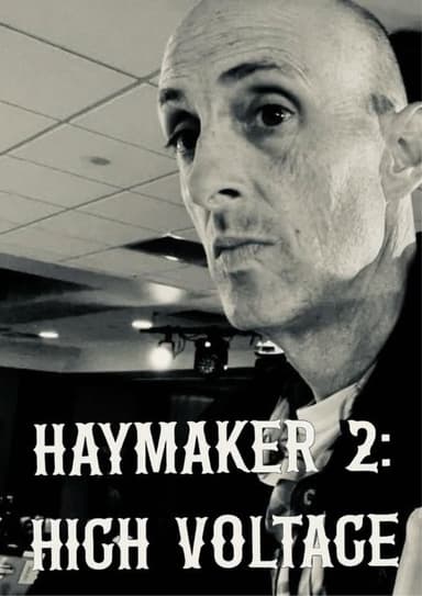 Haymaker 2: High Voltage poster