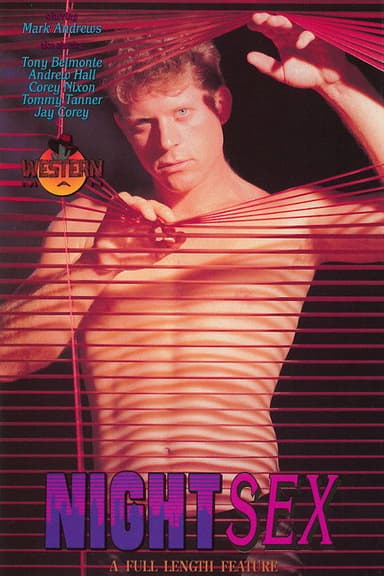 Night Sex: A Private Affair poster