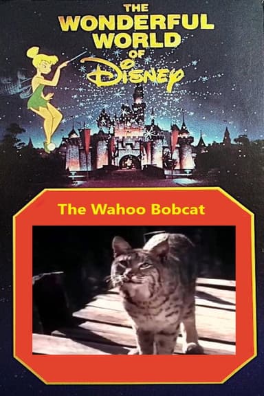 The Wahoo Bobcat poster