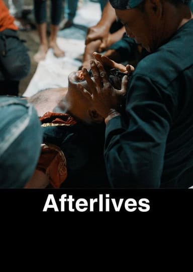 Afterlives poster