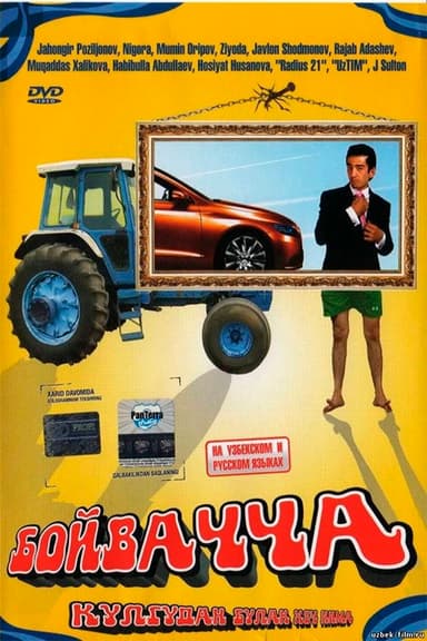 Boyvachcha poster