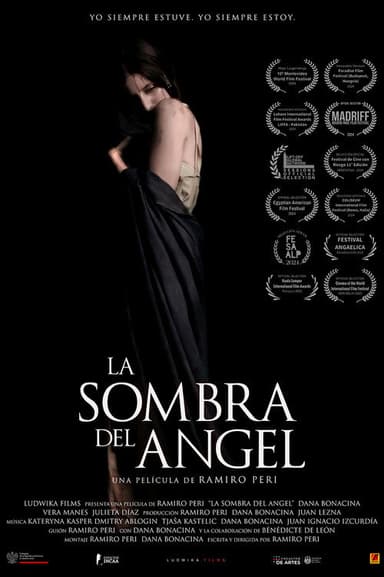 La sombra del ángel poster