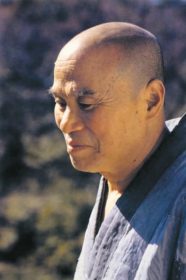 Monk Seongcheol documentary poster