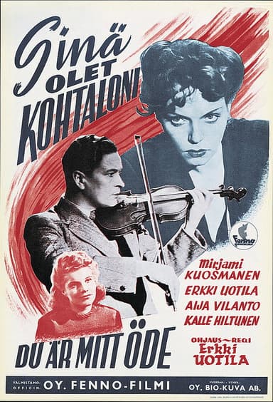 Sinä olet kohtaloni poster