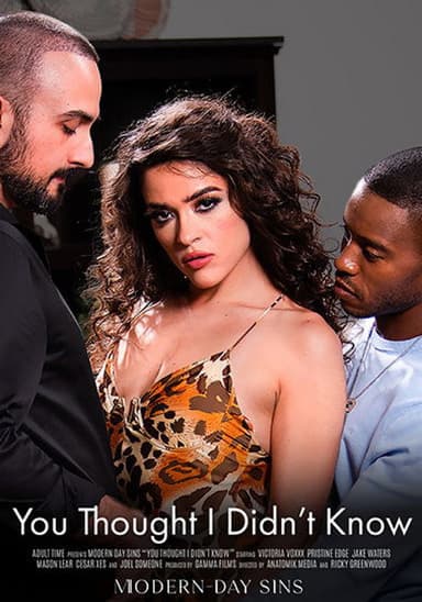 You Thought I Didn’t Know poster