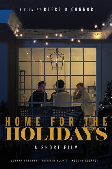 Home for the Holidays poster