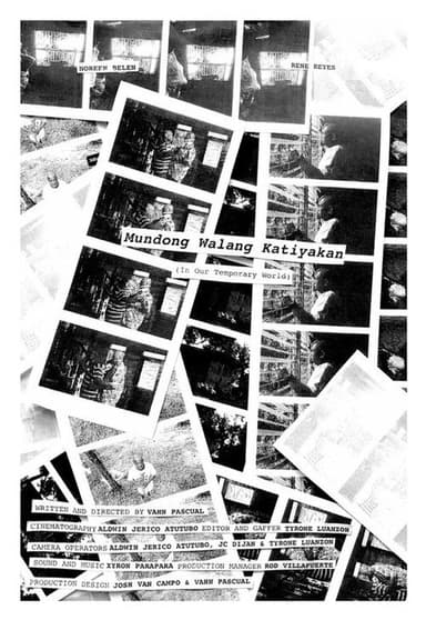 In Our Temporary World poster