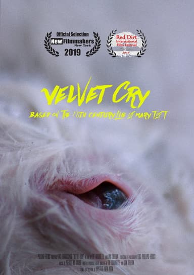 VELVET CRY poster