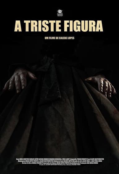 A Triste Figura poster