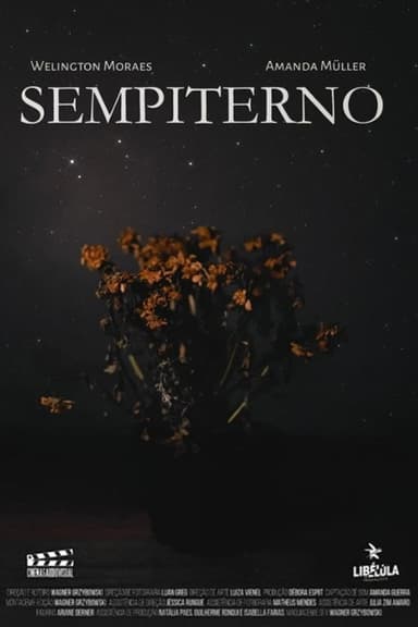 Sempiterno poster