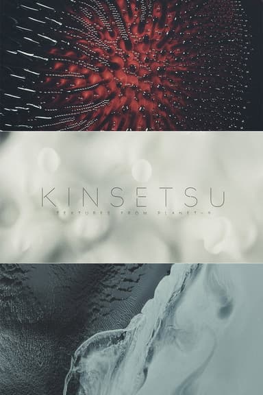 Kinsetsu Textures from Planet-9 poster