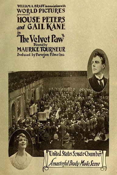 The Velvet Paw poster