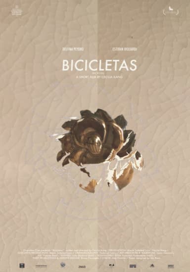 Bicycles poster