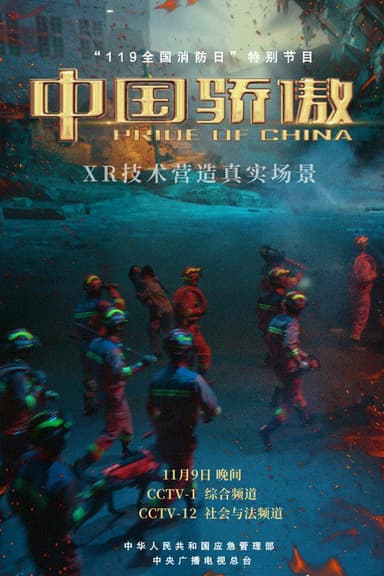 中国骄傲 poster