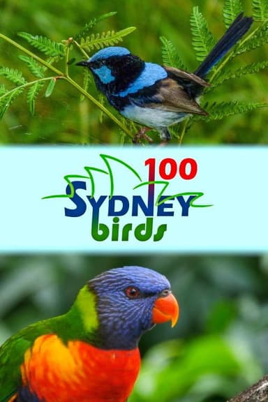 100 Sydney Birds poster