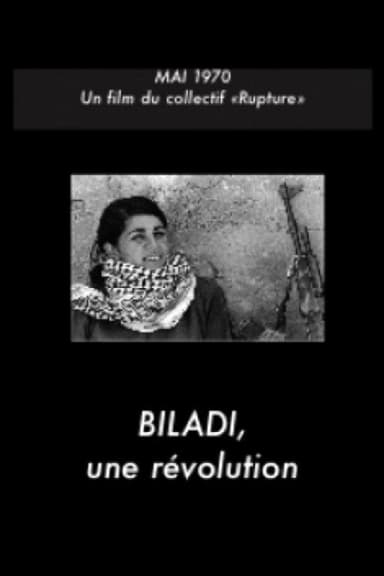 Biladi, a revolution poster