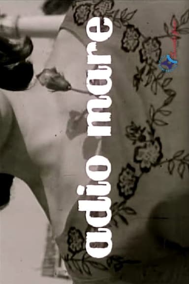 Adio mare poster
