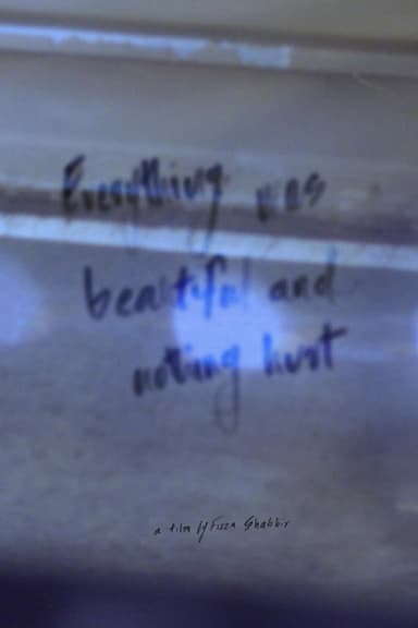 Everything was beautiful and nothing hurt poster