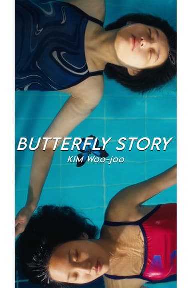 Butterfly Story poster
