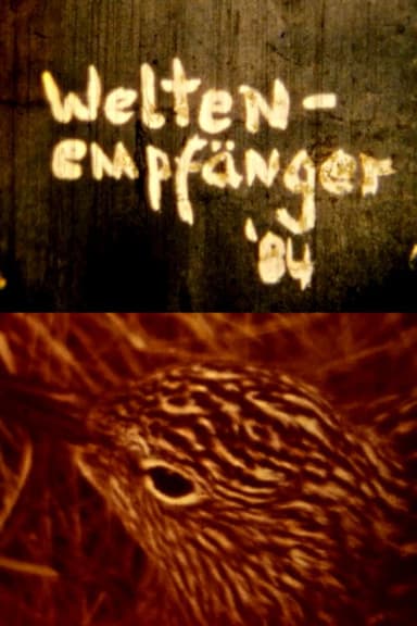 Weltenempfänger poster