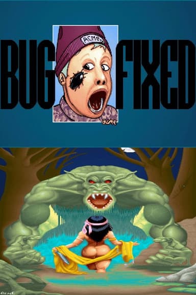 Bug Fixed poster
