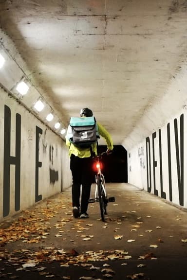 The Delivery poster