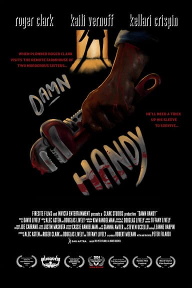 Damn Handy poster
