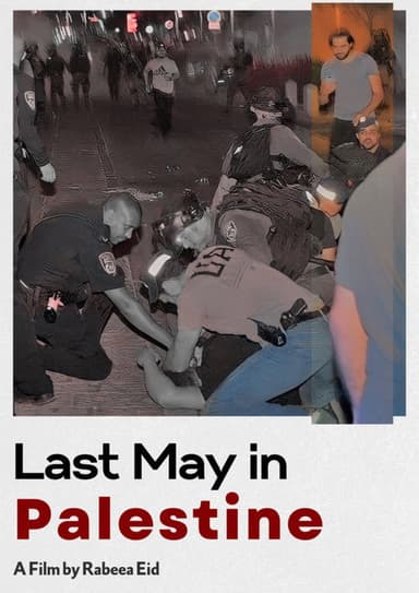 Last May in Palestine poster