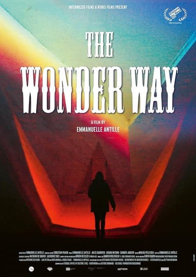 The Wonder Way poster