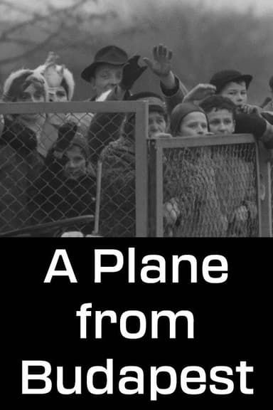 A Plane from Budapest poster