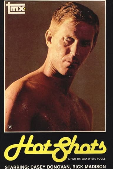Hot Shots poster