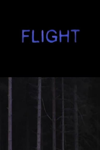 Flight poster