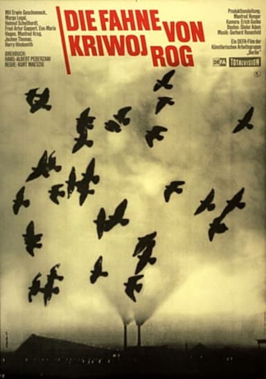 The Banner of Kryvyi Rih poster