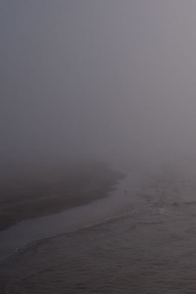 Niebla poster