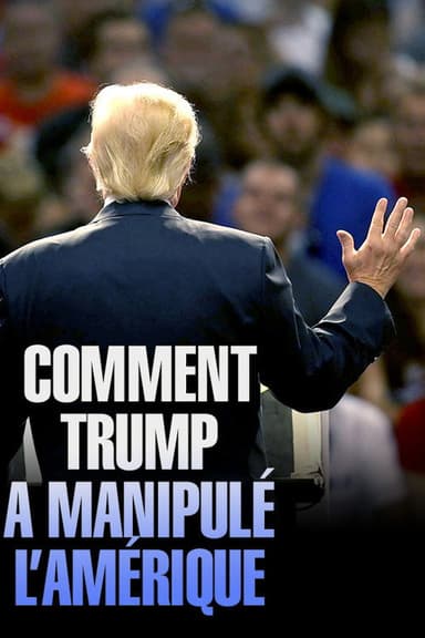 Fake America Great Again poster