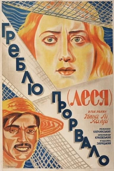The Dam Is Broken poster