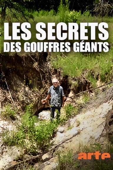Les secrets des gouffres géants poster