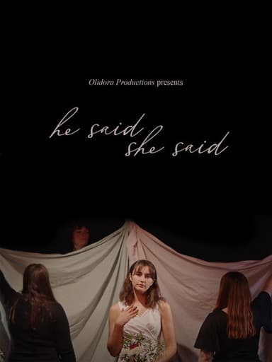 he said, she said poster