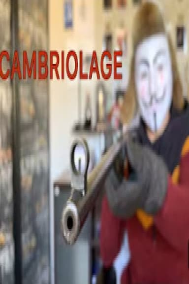 Cambriolage poster