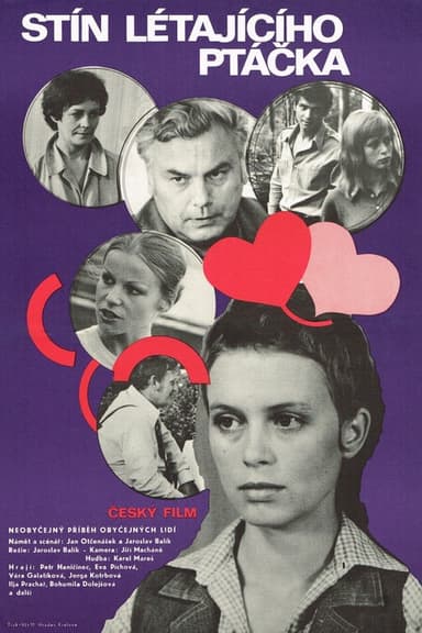 Shadow of a Flying Bird poster