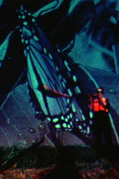 Butterfly Disaster poster