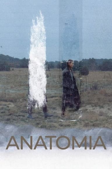 Anatomy poster