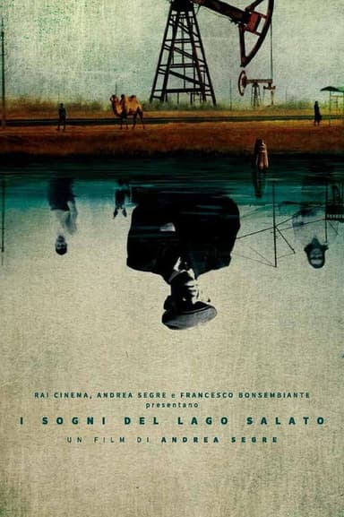 Dreams of the Salt Lake poster
