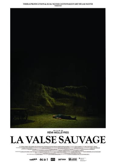 La Valse sauvage poster