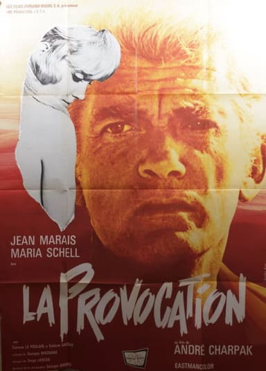 The Provocation poster
