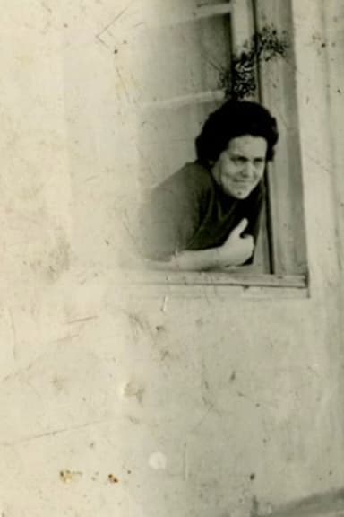 The Window poster