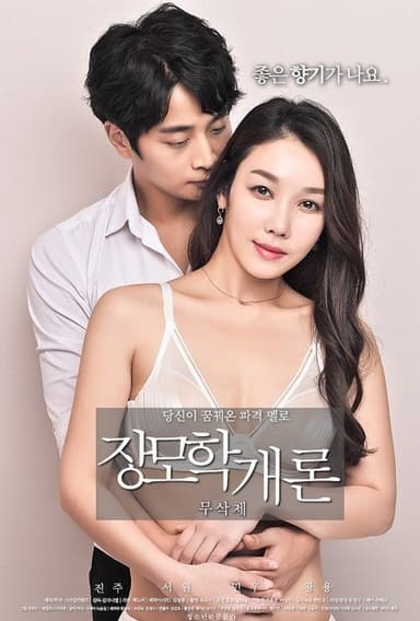 Mother-in-law's Introduction poster